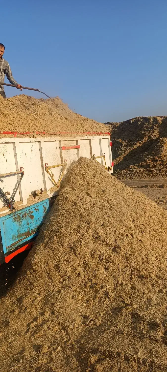 کاه نیشکر|حیوانات مزرعه|پلدختر, |دیوار