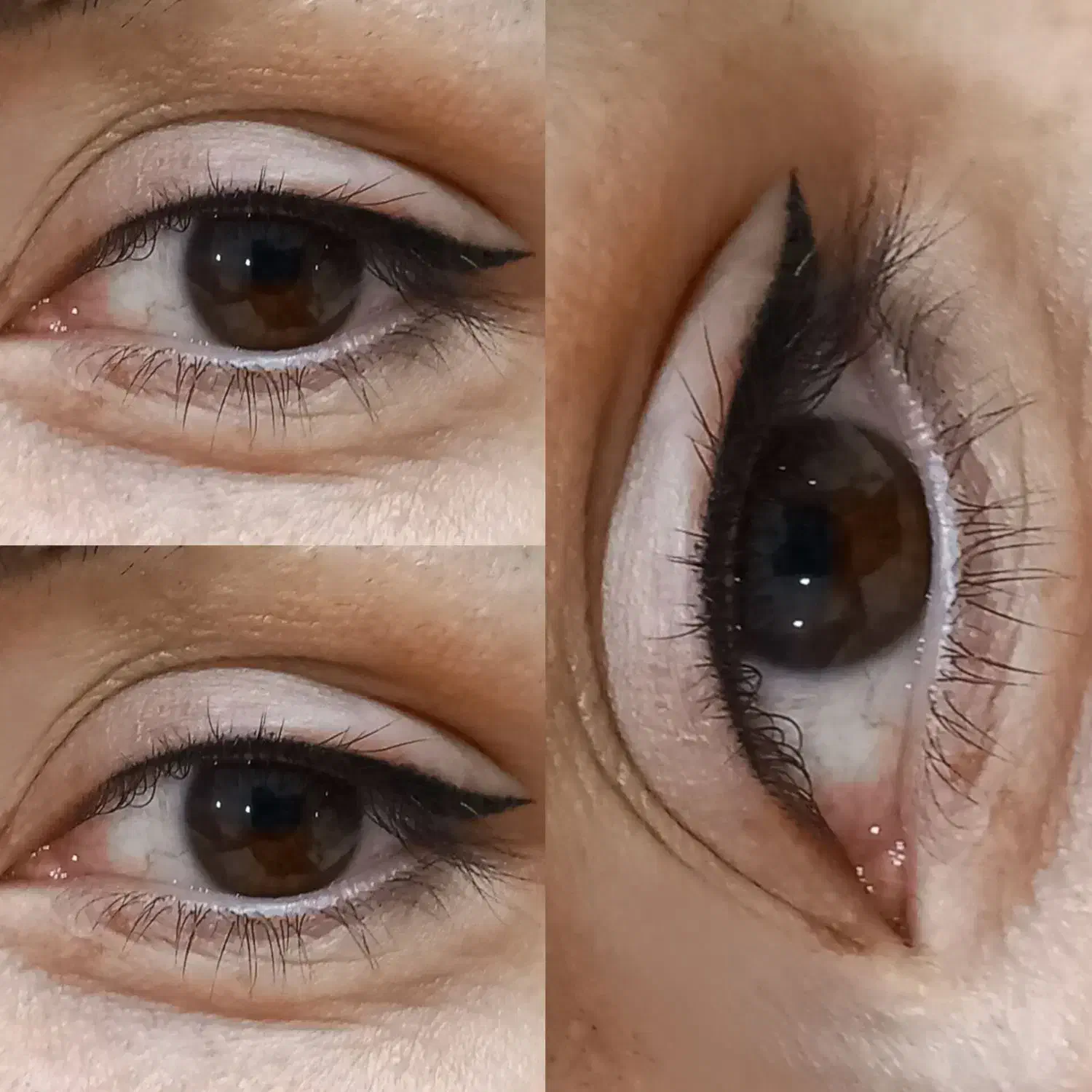 میکروبلیدینگ فیبروز شید خطچشم|خدمات آرایشگری و زیبایی|مشهد, ایثار|دیوار