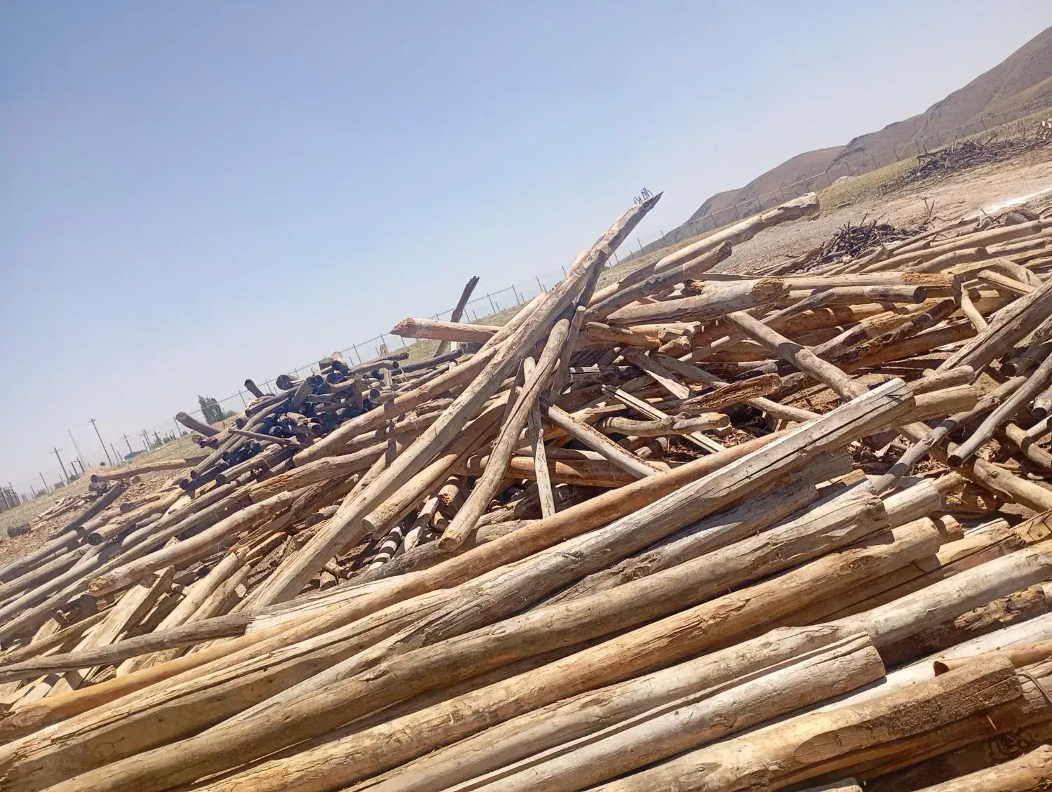 خرید چوب خشک سقفی و ضایعات باغی با بالاترین قیمت|خدمات باغبانی و درختکاری|زنجان, |دیوار