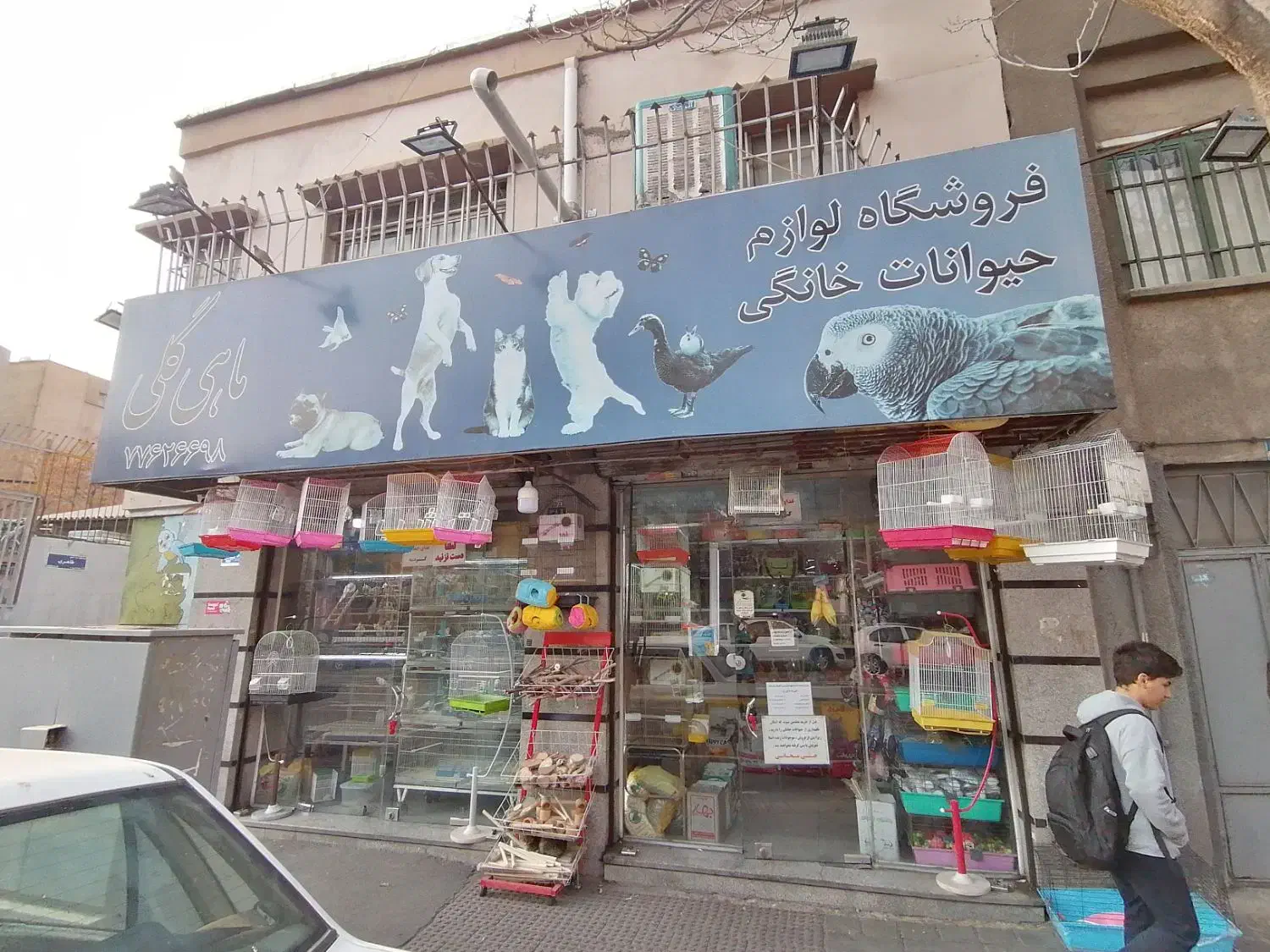 کارگر ساده پرنده فروشی پت شاپ|استخدام سرایداری و نظافت|تهران, خواجه نظام الملک|دیوار