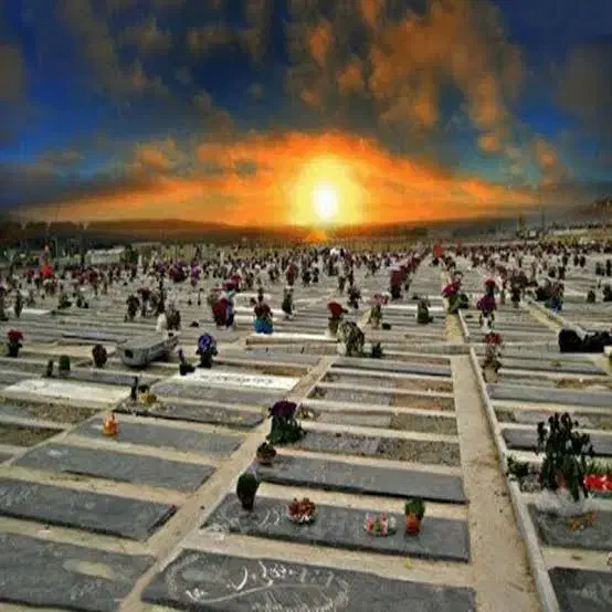 قبر در امامزاده شاه ابراهیم روبروی گلزار|حراج|قم, انصارالحسین|دیوار