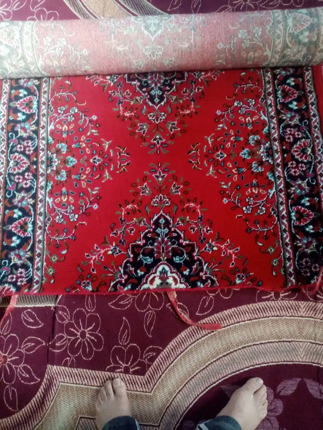 درود، یک تخته کناره فرشی، رنگ لاکی|فرش|شیراز, داریون|دیوار