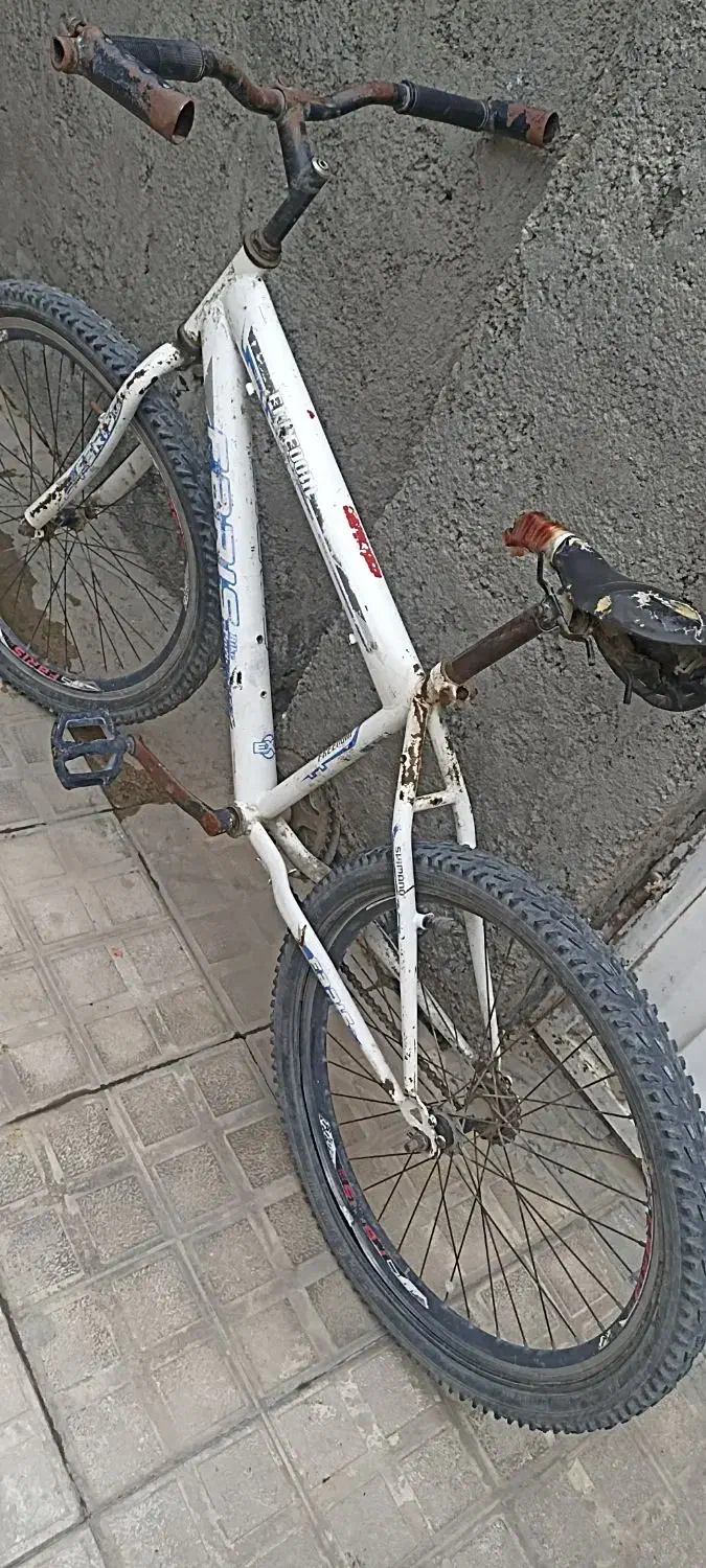 دوچرخه 24|دوچرخه، اسکیت، اسکوتر|چناران, |دیوار