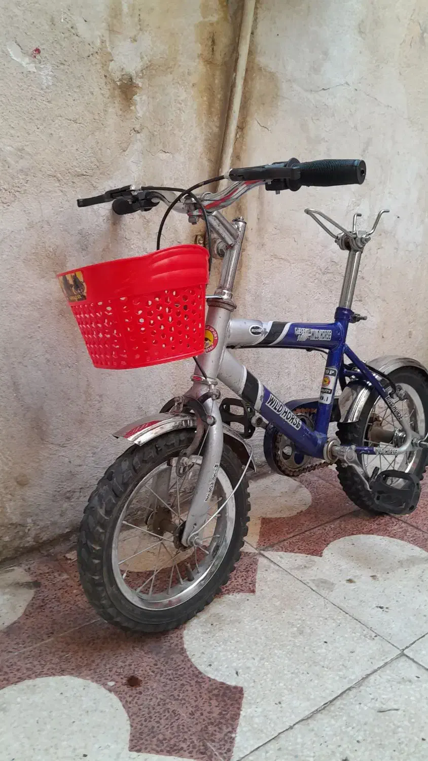 دوچرخه سایز ۱۲|دوچرخه، اسکیت، اسکوتر|شیراز, دانشگاه شیراز|دیوار