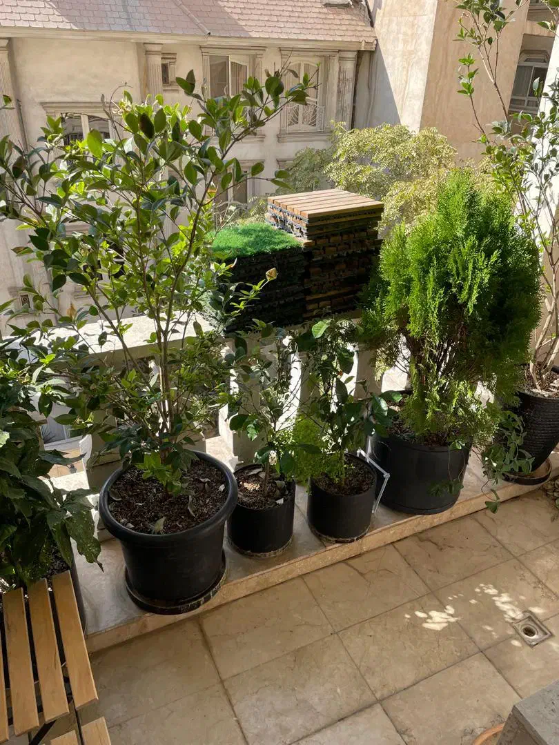 ۱۷۷ متر ۳ خواب مستر /۴پارکینگ شش ساله در زعفرانیه|فروش آپارتمان|تهران, زعفرانیه|دیوار