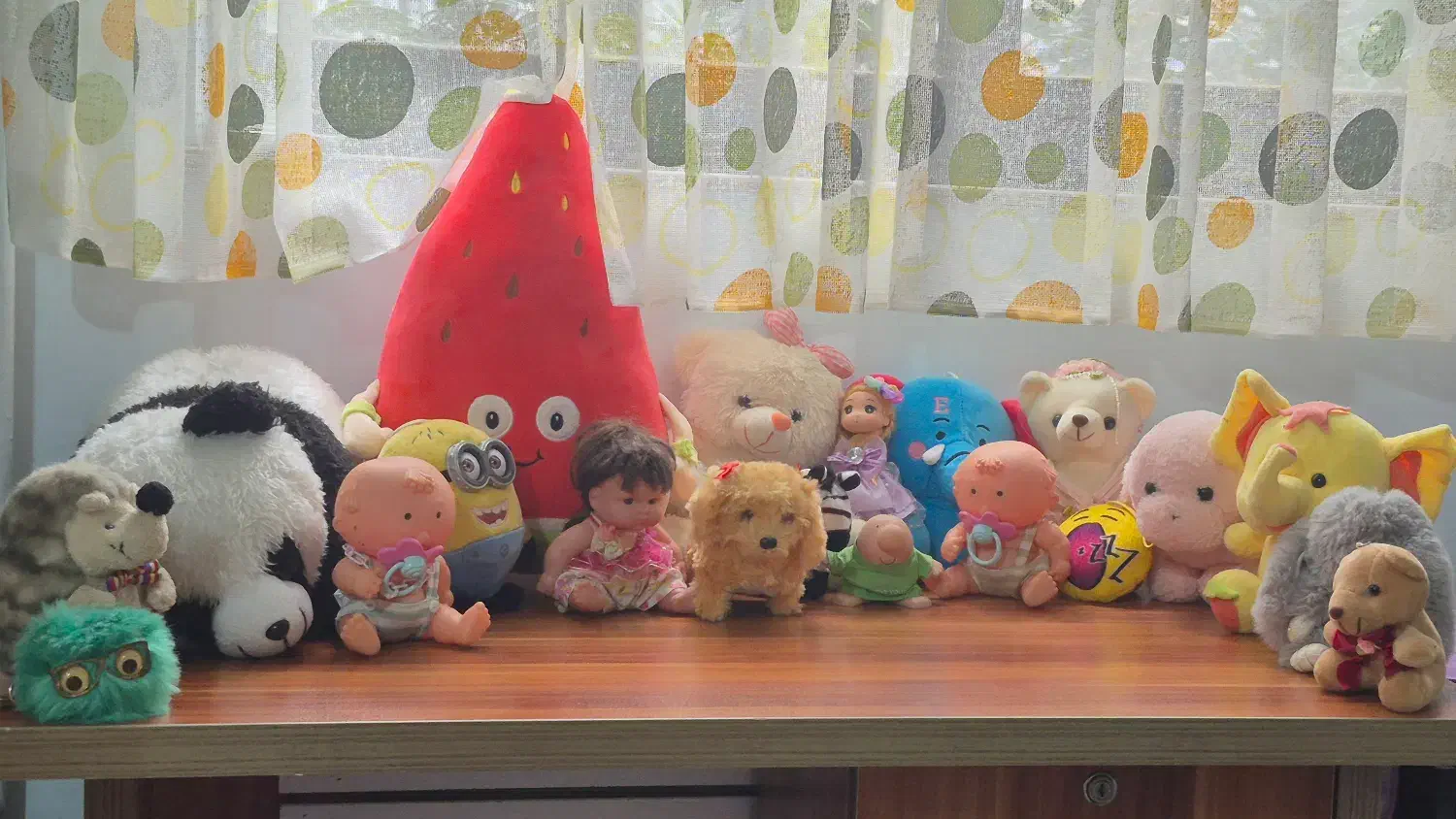 عروسک|اسباب‌بازی بچه|رشت, کوی جام جم|دیوار