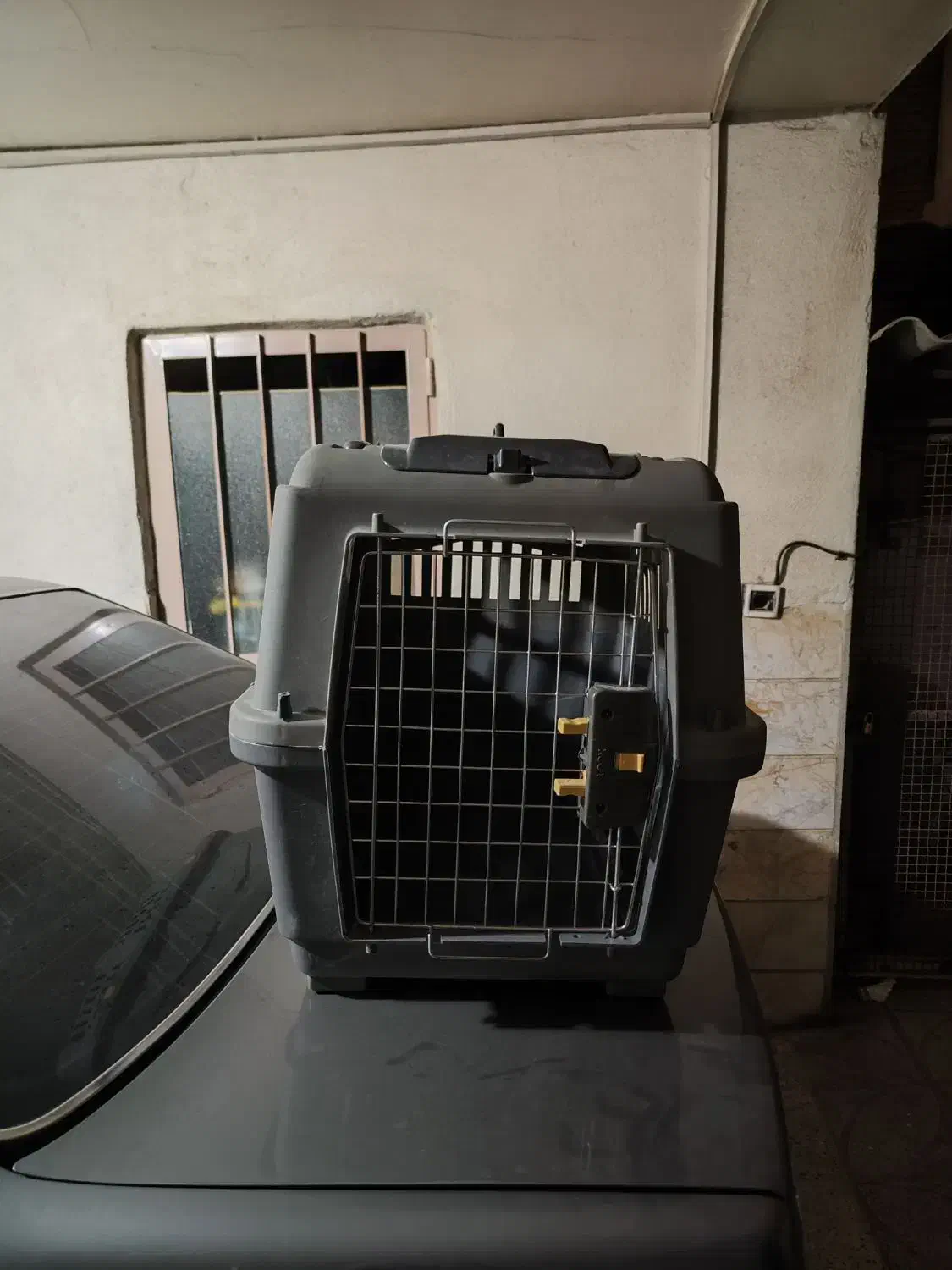 باکس حمل سگ و گربه|لوازم جانبی حیوانات|ری, حمزهآباد|دیوار