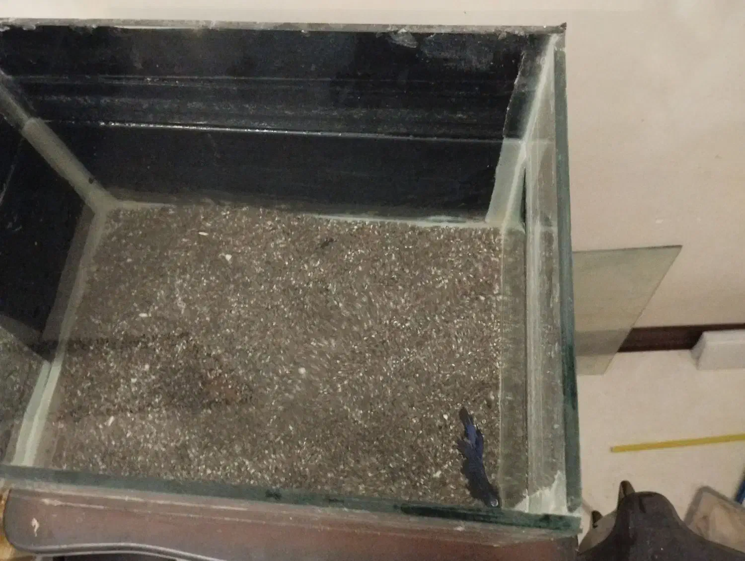 اکواریوم با لوازم|ماهی|تهران, افسریه شمالی|دیوار