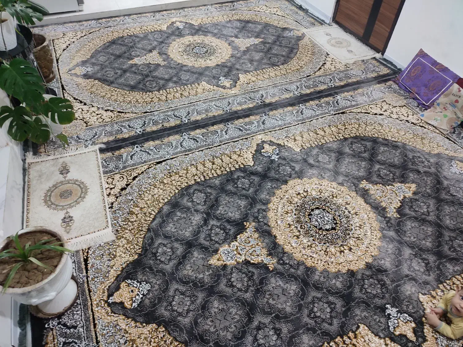 یک جفت فرش 9 متری و کنار فرشی|فرش|شیراز, کوشک میدان|دیوار