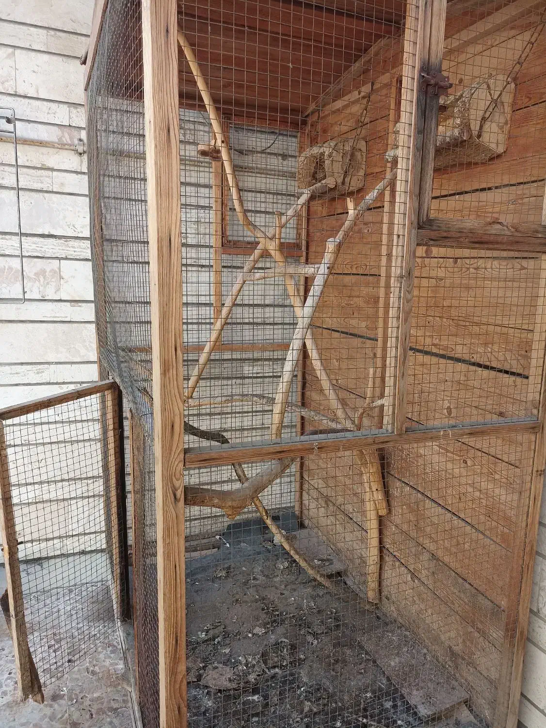 قفس پرنده چوبی مناسب تربیت پرنده|لوازم جانبی حیوانات|اهواز, شریعتی جنوبی|دیوار