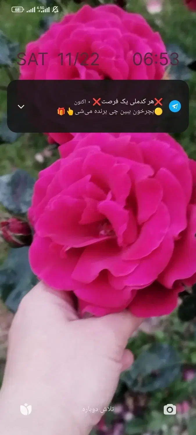 راهنمای برای پیدا کردن کار ووام فوری|فعالیت داوطلبانه تحقیقاتی|تبریز, |دیوار