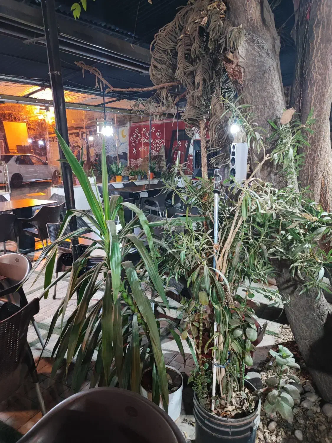 استخدام کافه رستوران سیزده بدر|استخدام خدمات فروشگاه و رستوران|تبریز, |دیوار