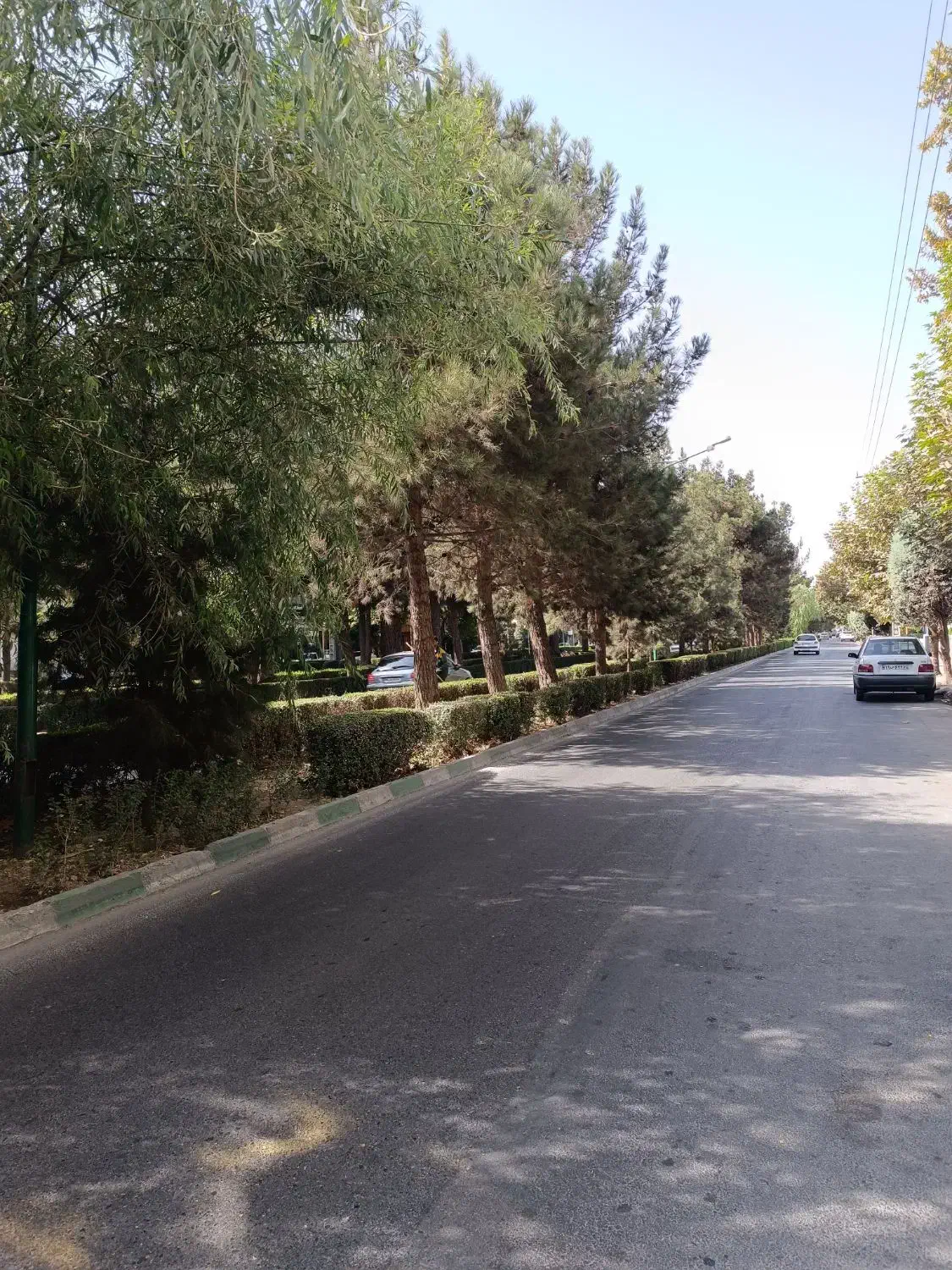 ۱۰۰۰ متر جنوبی / فاز ۱ / بلوار شهرداری مهرشهر|اجارهٔ خانه و ویلا|کرج, فاز ۱ مهرشهر|دیوار