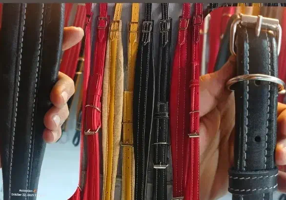 بند آکاردئون|پیانو، کیبورد، آکاردئون|تهران, پاسداران|دیوار