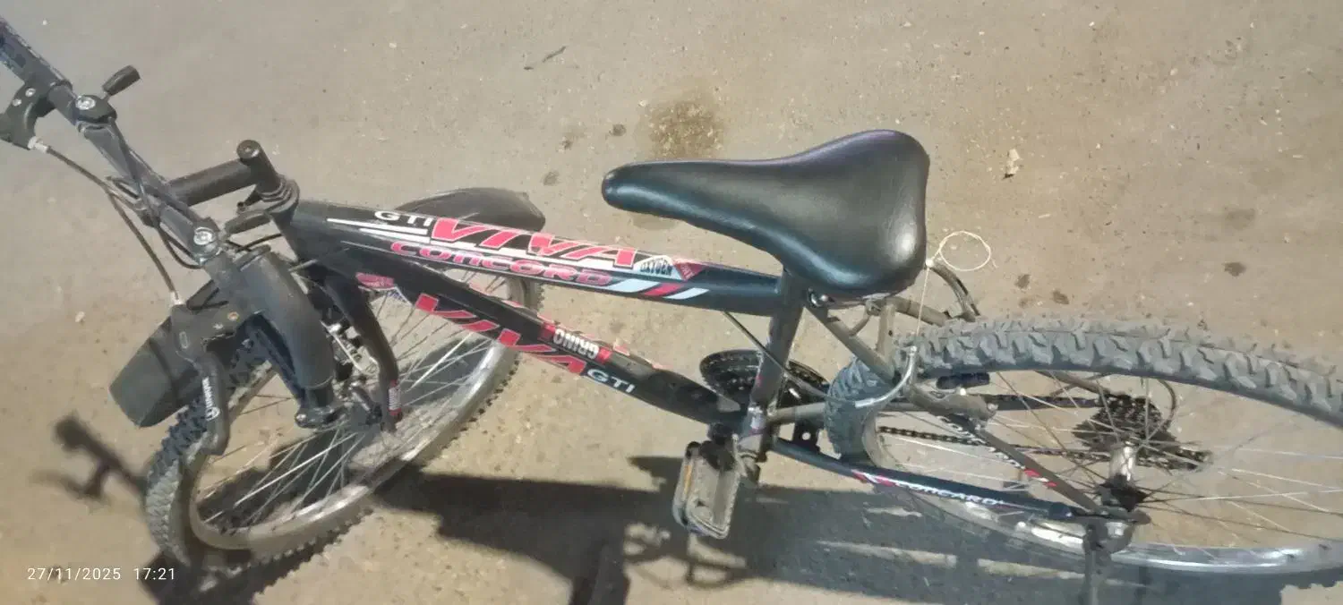 دوچرخ|دوچرخه، اسکیت، اسکوتر|تربت‌حیدریه, حسنی بالا|دیوار