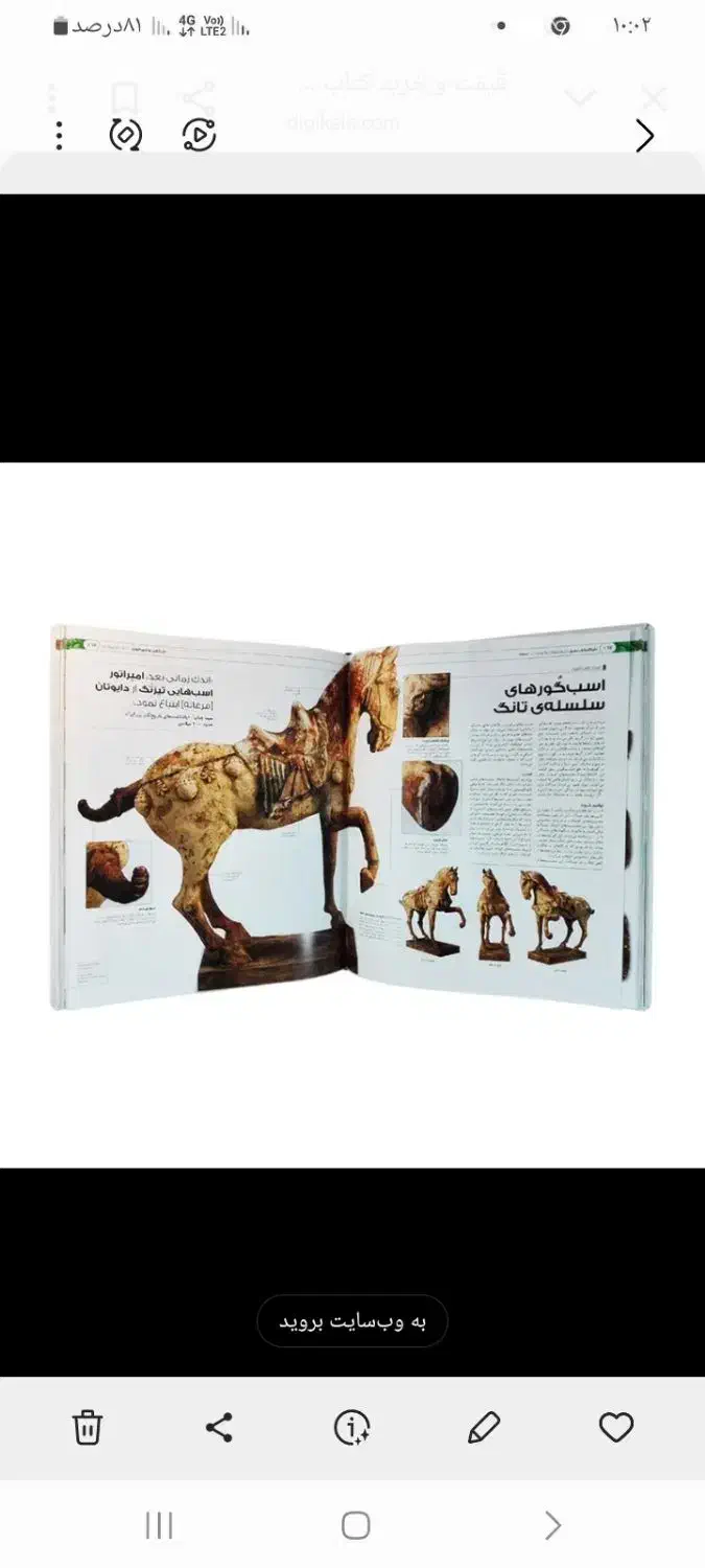 کتاب تاریخ جهان|کتاب و مجله تاریخی|شیراز, دست خضر|دیوار