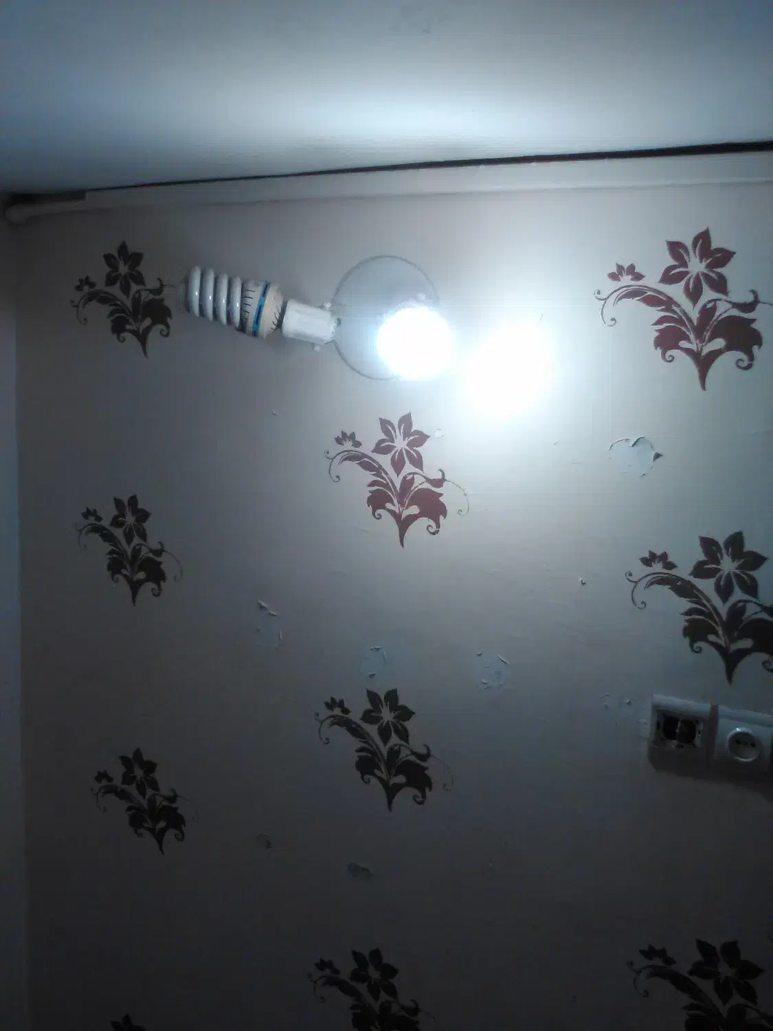 رهن واجاره مغازه|اجارهٔ مغازه و غرفه|بندرعباس, |دیوار