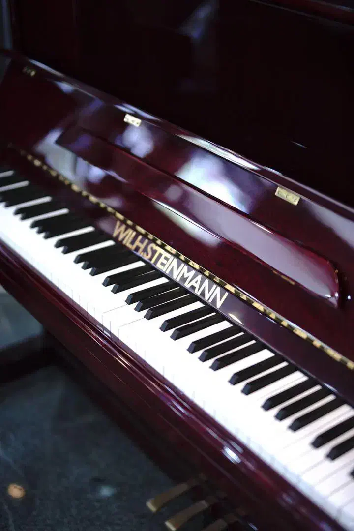 پیانو|پیانو، کیبورد، آکاردئون|شیراز, فلکه گاز|دیوار