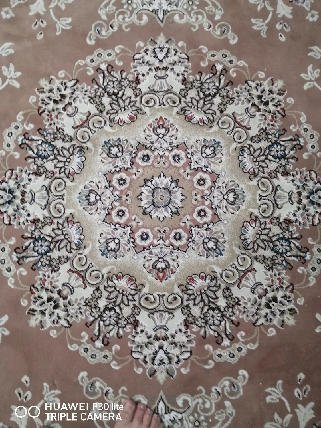 فرش|فرش|تهران, نظام‌آباد|دیوار