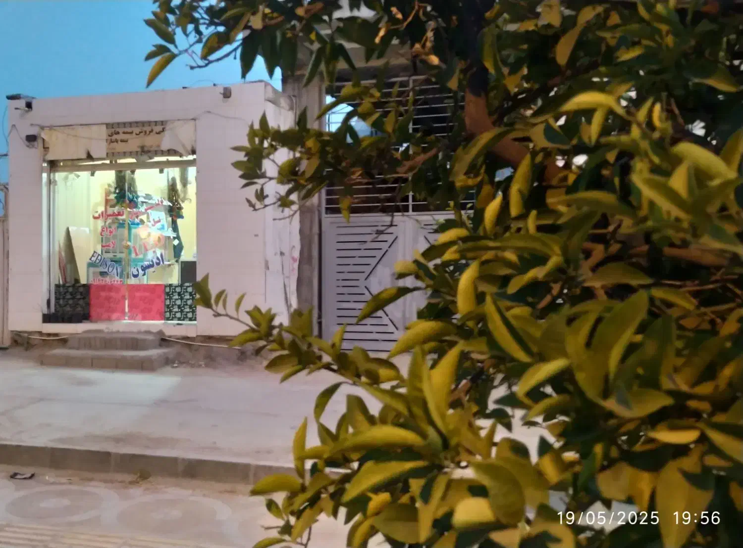 رهن و اجاره یک باب مغازه 5*3|اجارهٔ مغازه و غرفه|داراب, |دیوار