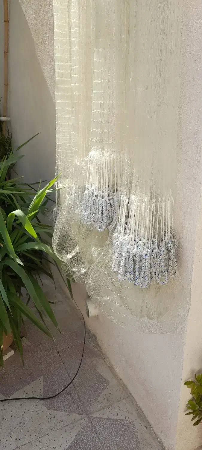 تور تایلندی درجه یک|ماهیگیری|اصفهان, چرخاب|دیوار