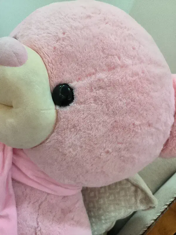 خرس عروسکی|اسباب‌‌بازی|تهران, جنت‌آباد مرکزی|دیوار