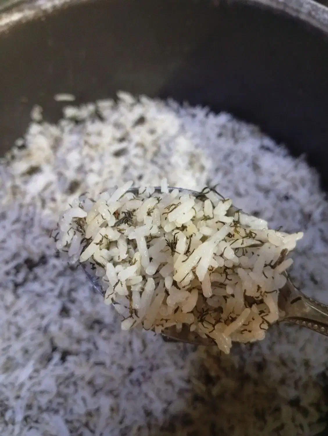 برنج ایرانی به قیمت عمده|خوردنی و آشامیدنی|کاشان, فاز ۱ ناجی آباد|دیوار