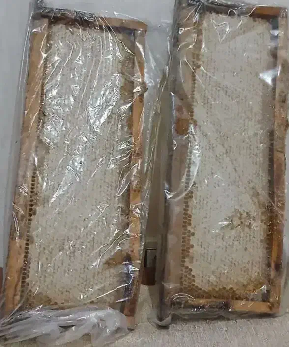 عسل اذربایجان|خوردنی و آشامیدنی|تهران, دانشگاه شریف|دیوار