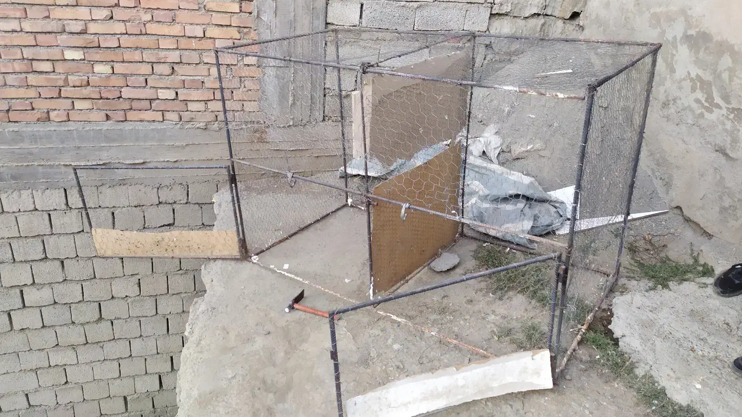 قفس مرغ و خروس /کبوتر|لوازم جانبی حیوانات|سردشت, |دیوار