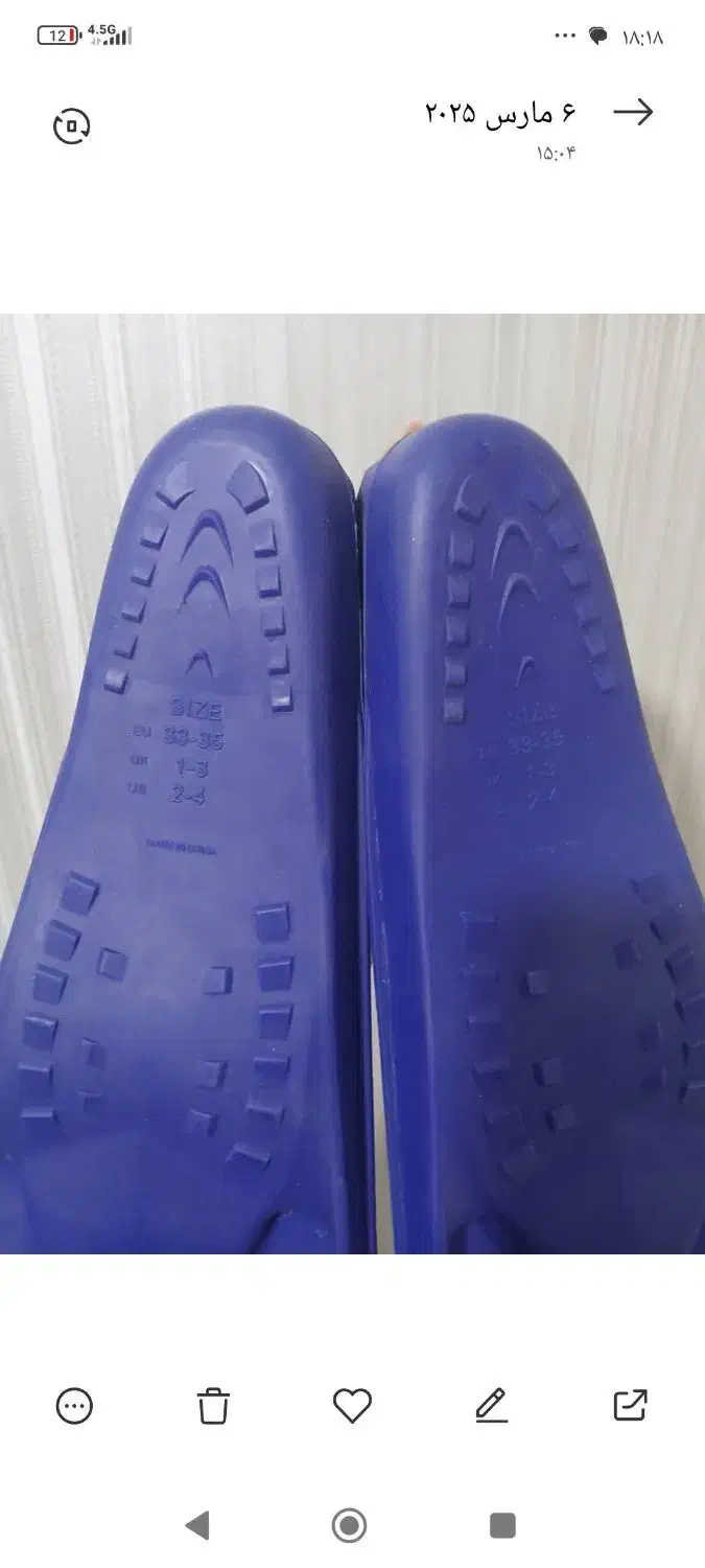 کفش شنا|غواصی و ورزش‌های آبی|تهران, خلیج فارس|دیوار