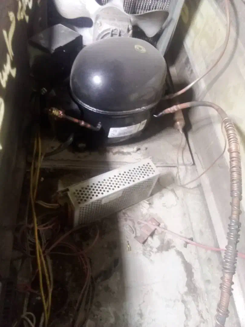 یخچالایستاده|فروشگاه و مغازه|صوفیان, |دیوار