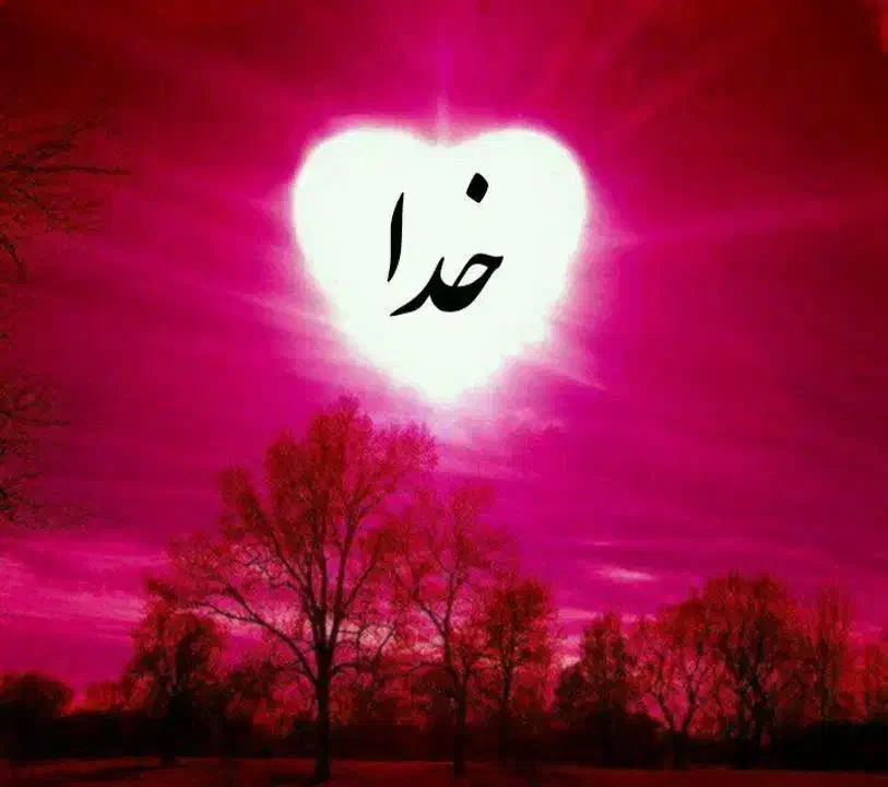 فعالیت داوطلبانه|فعالیت داوطلبانه|کوهدشت, |دیوار