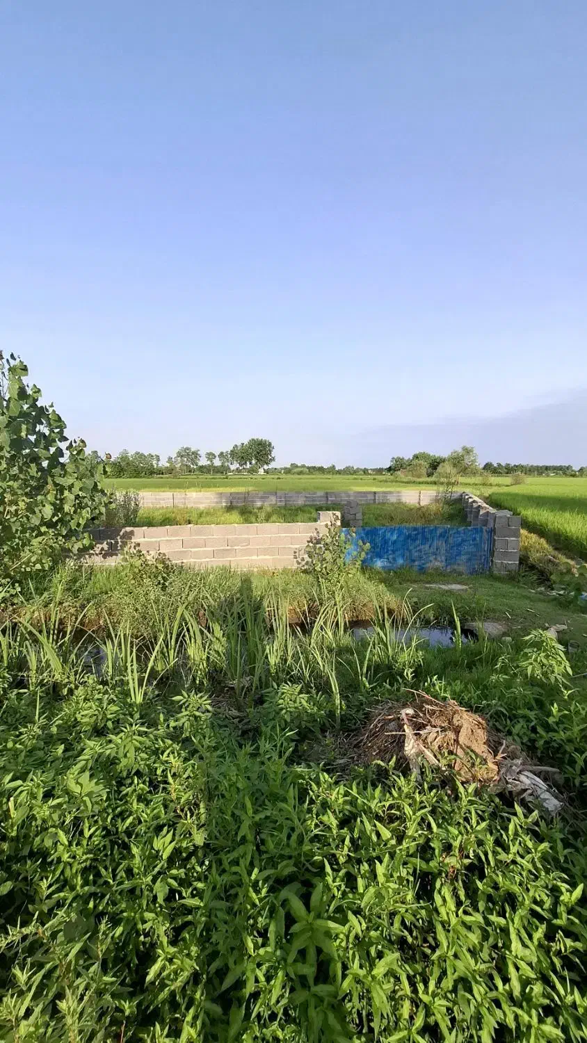 زمین کاسبی می خوای این زمین رو از دست نده|فروش زمین و ملک کلنگی|رشت, بازار|دیوار