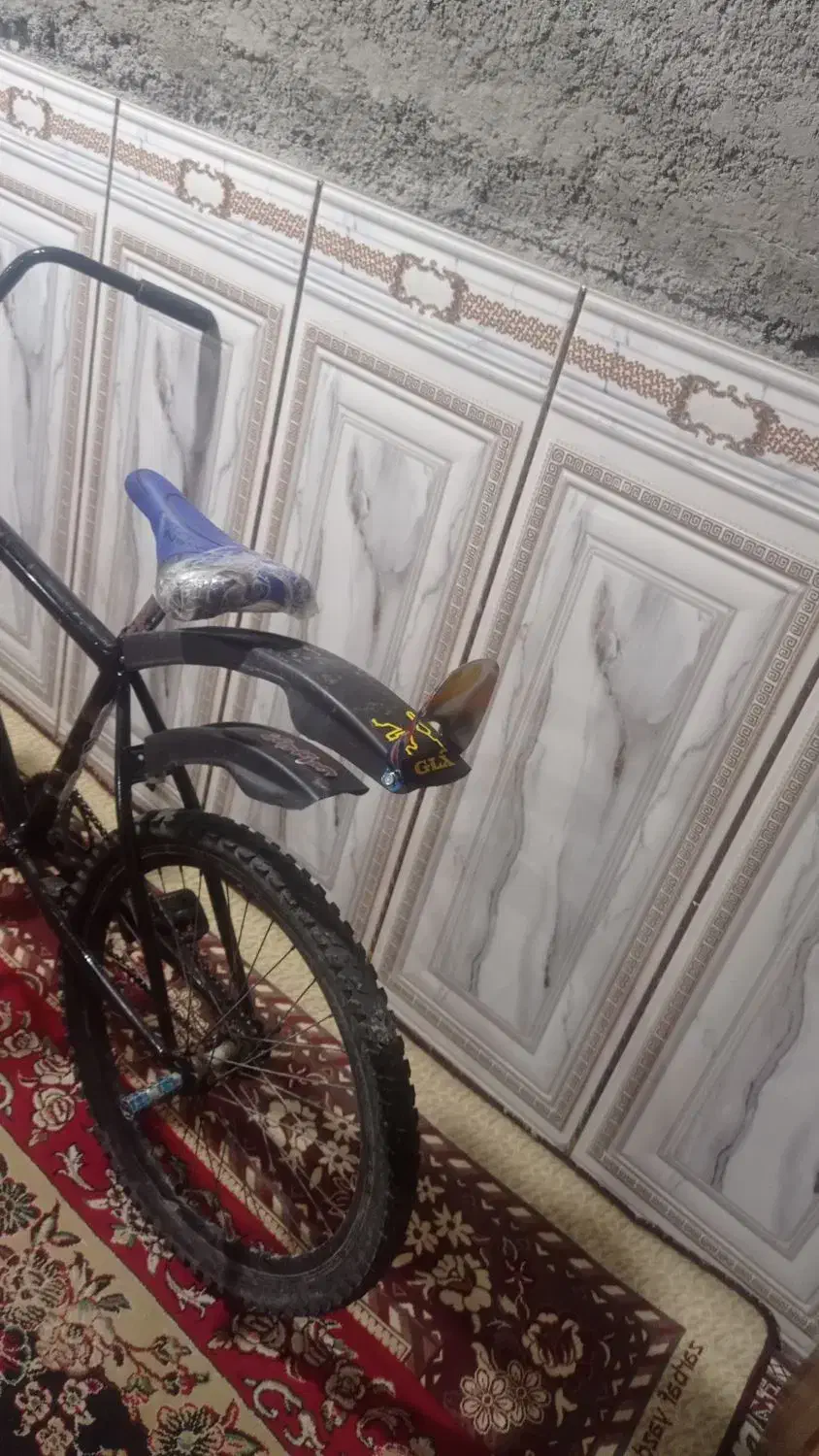 دوچرخه 24 تنه اساک|دوچرخه، اسکیت، اسکوتر|ایرانشهر, |دیوار