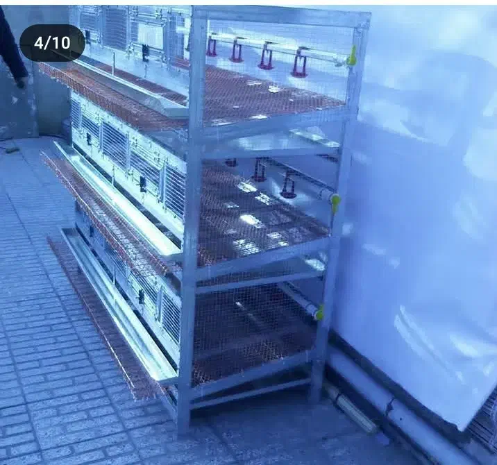 ساخت قفس گالوانیزه (سفارشی)|لوازم جانبی حیوانات|گنبد کاووس, |دیوار