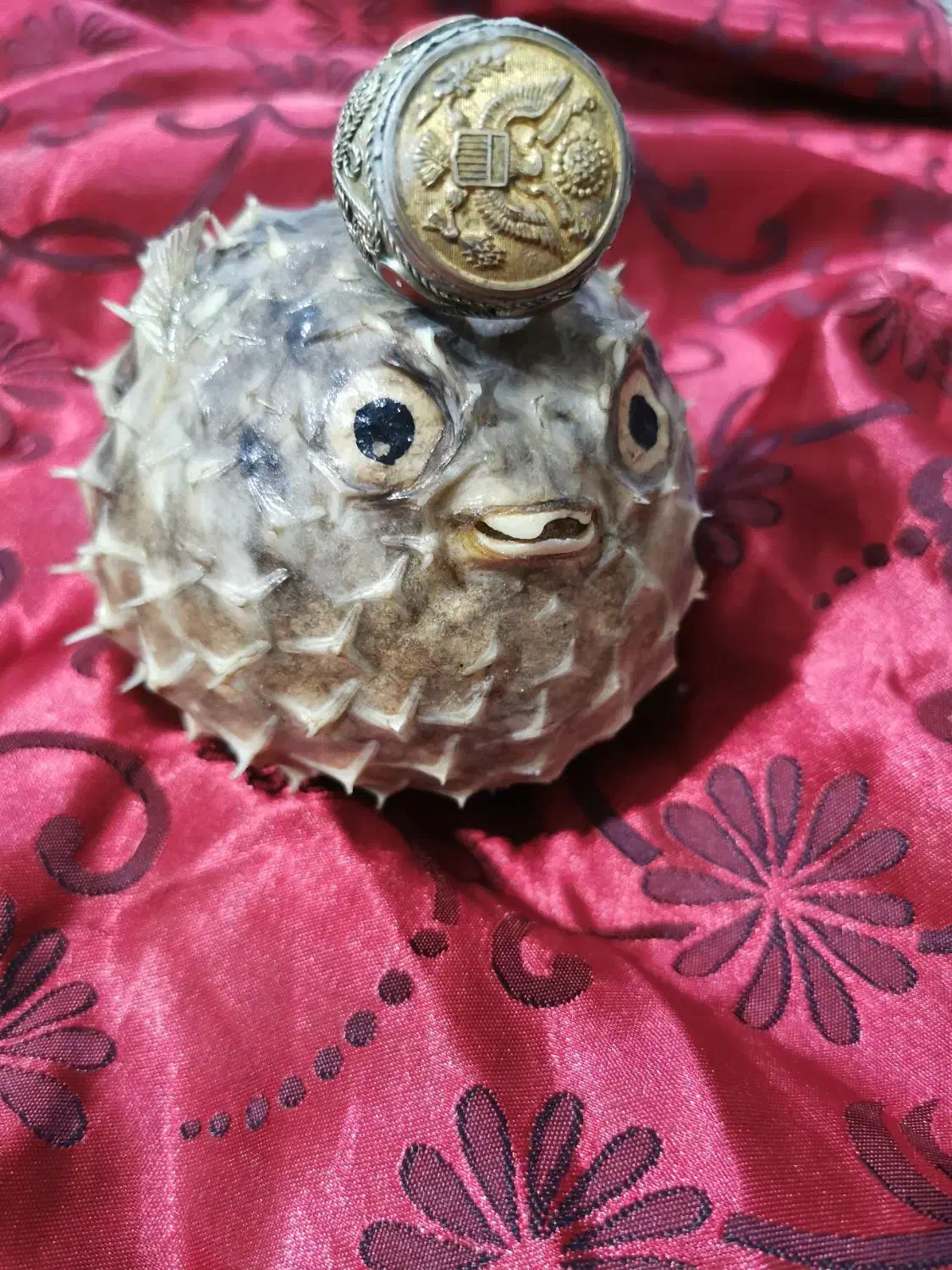 ماهی بادکنکی تزئینی و انگشتر نگین دار|جواهرات|آفتاب, |دیوار