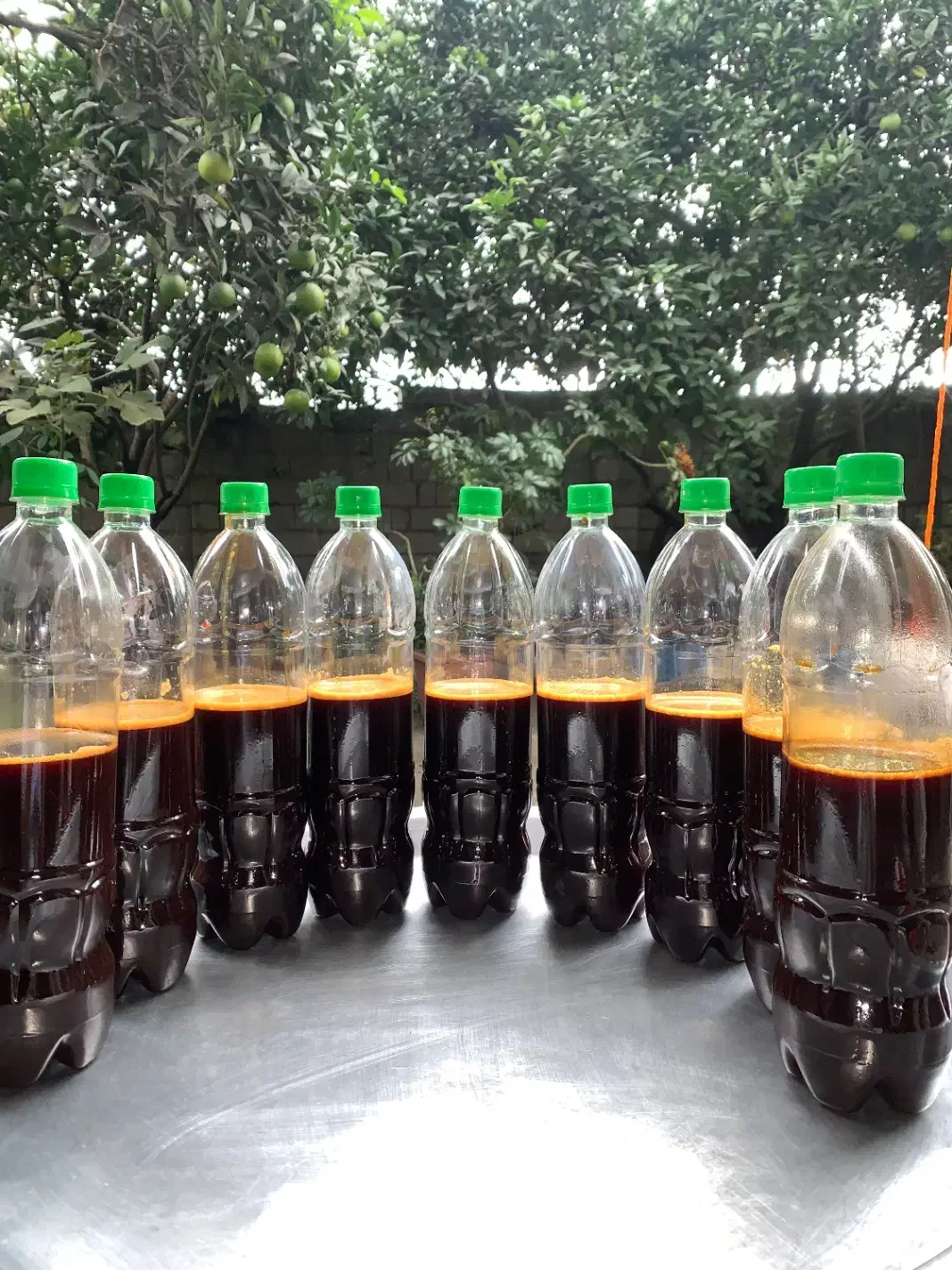 دوشاب محلی|خوردنی و آشامیدنی|رضوانشهر, |دیوار