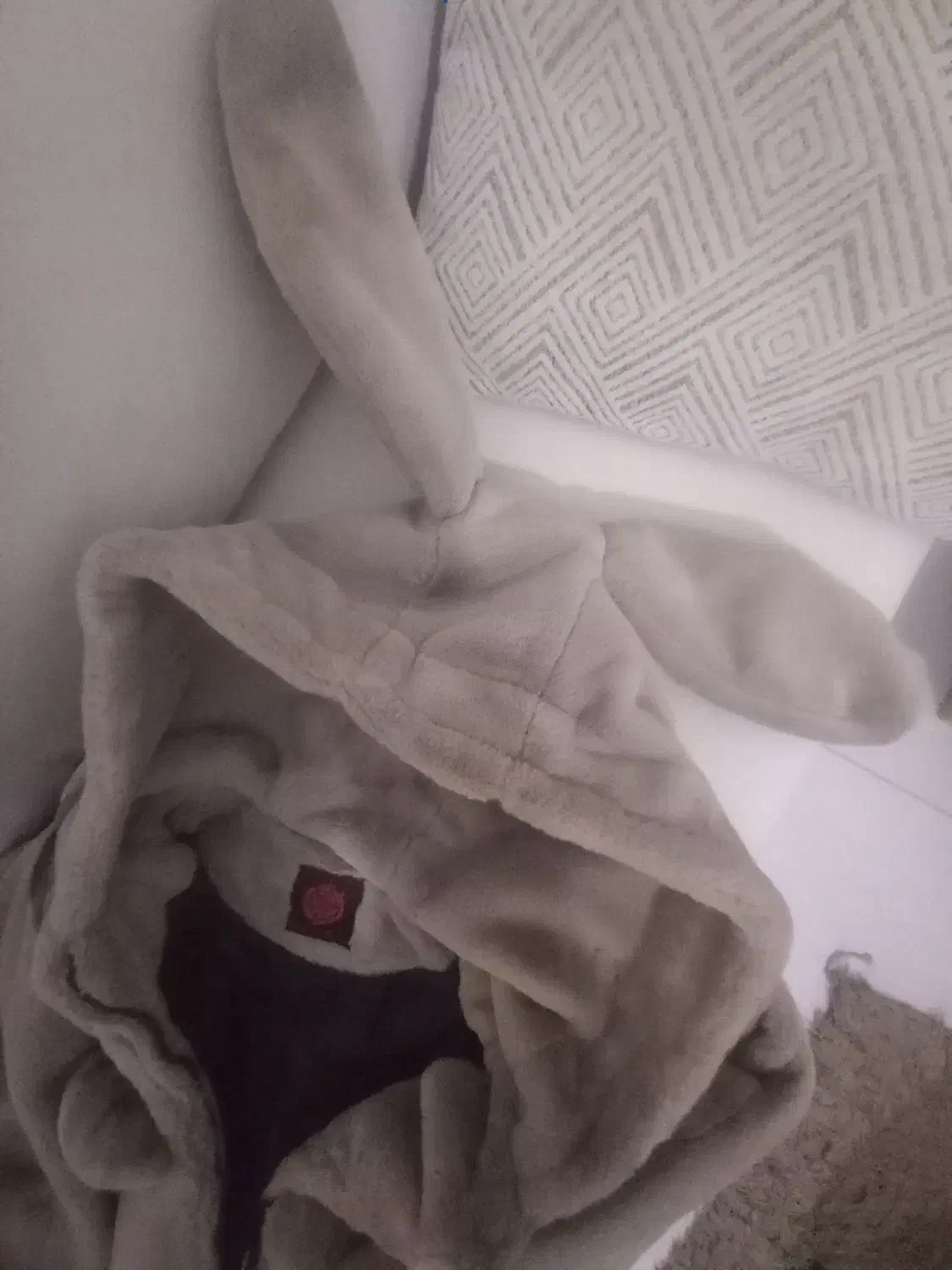 کاپشن تدی نرم خرگوشی|لباس|کرمانشاه, |دیوار