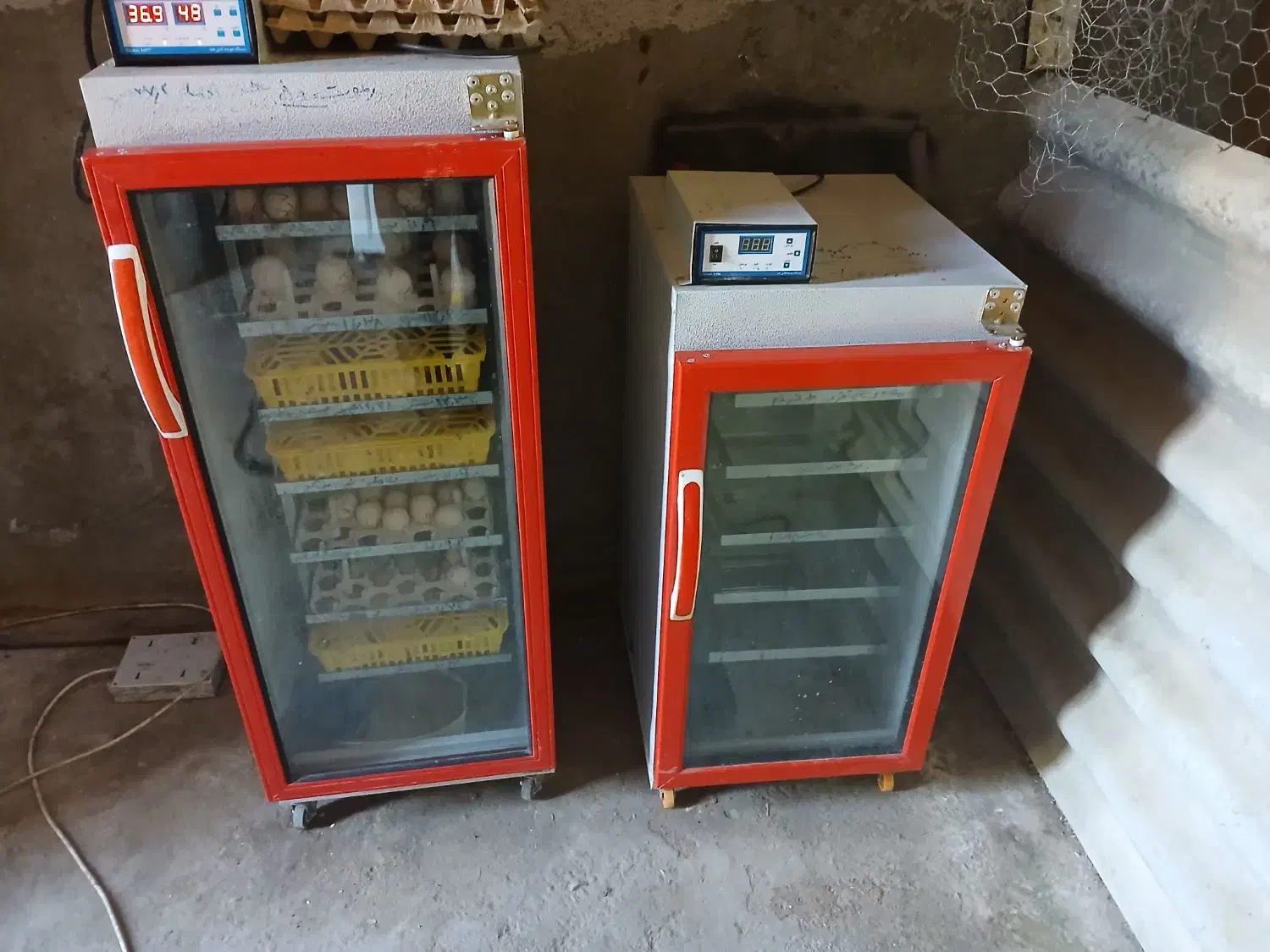 دستگاه جوجه کشی هما|لوازم جانبی حیوانات|گنبد کاووس, |دیوار