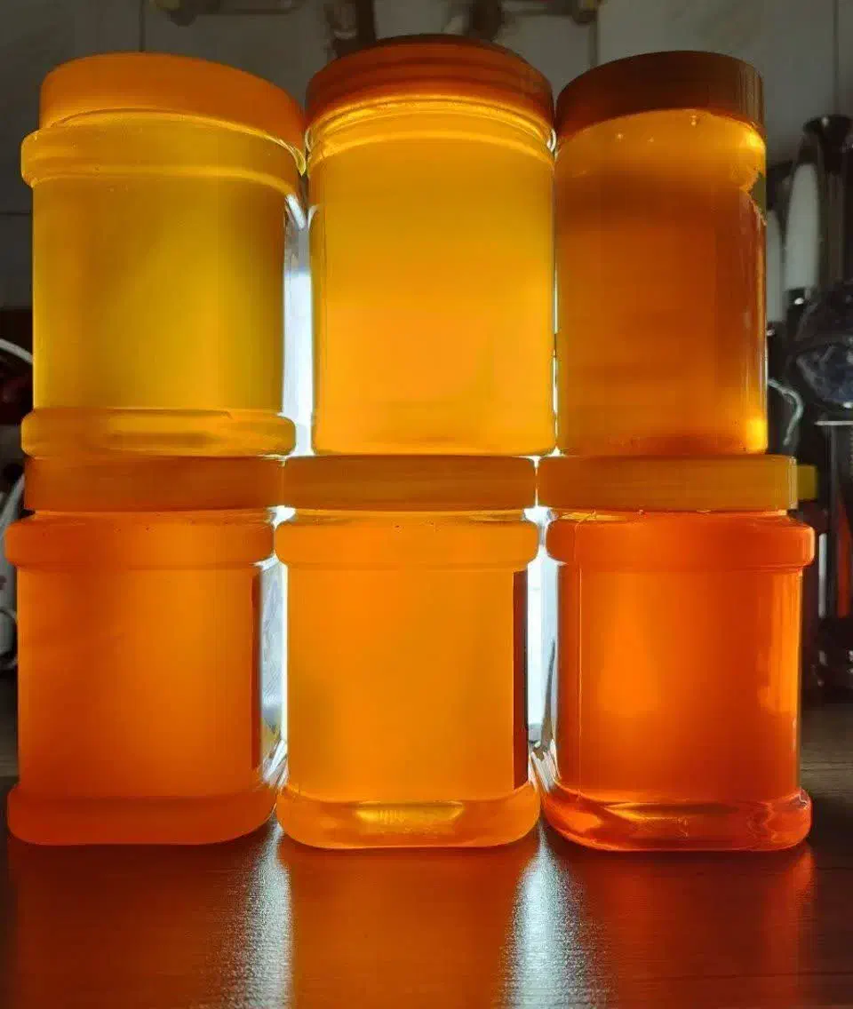 خشکبار طعم تازه|خوردنی و آشامیدنی|نیشابور, کوی یغما|دیوار