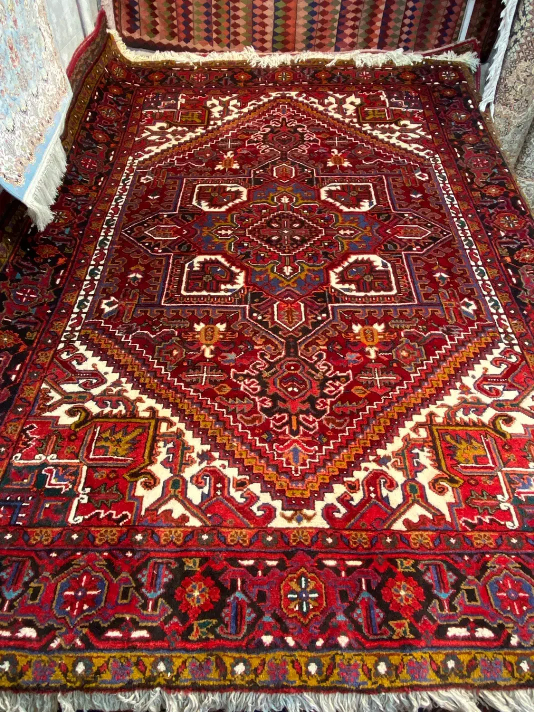 تک ۶ متری اسکندر تمام خاب|فرش|مراغه, |دیوار