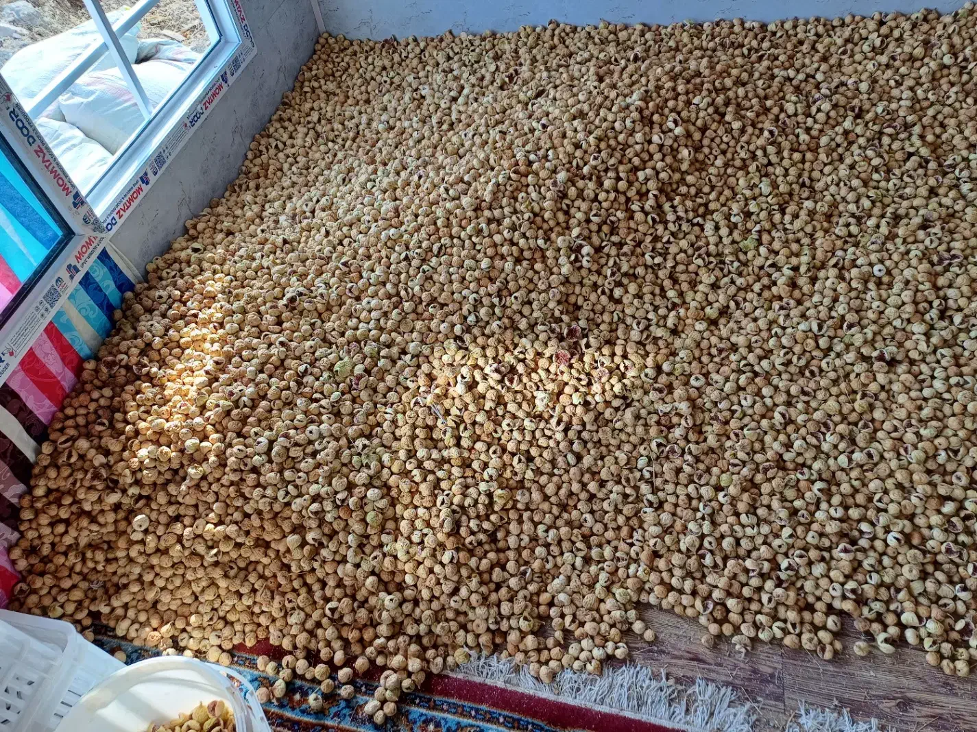 فروش خشکبار|خوردنی و آشامیدنی|رونیز, |دیوار