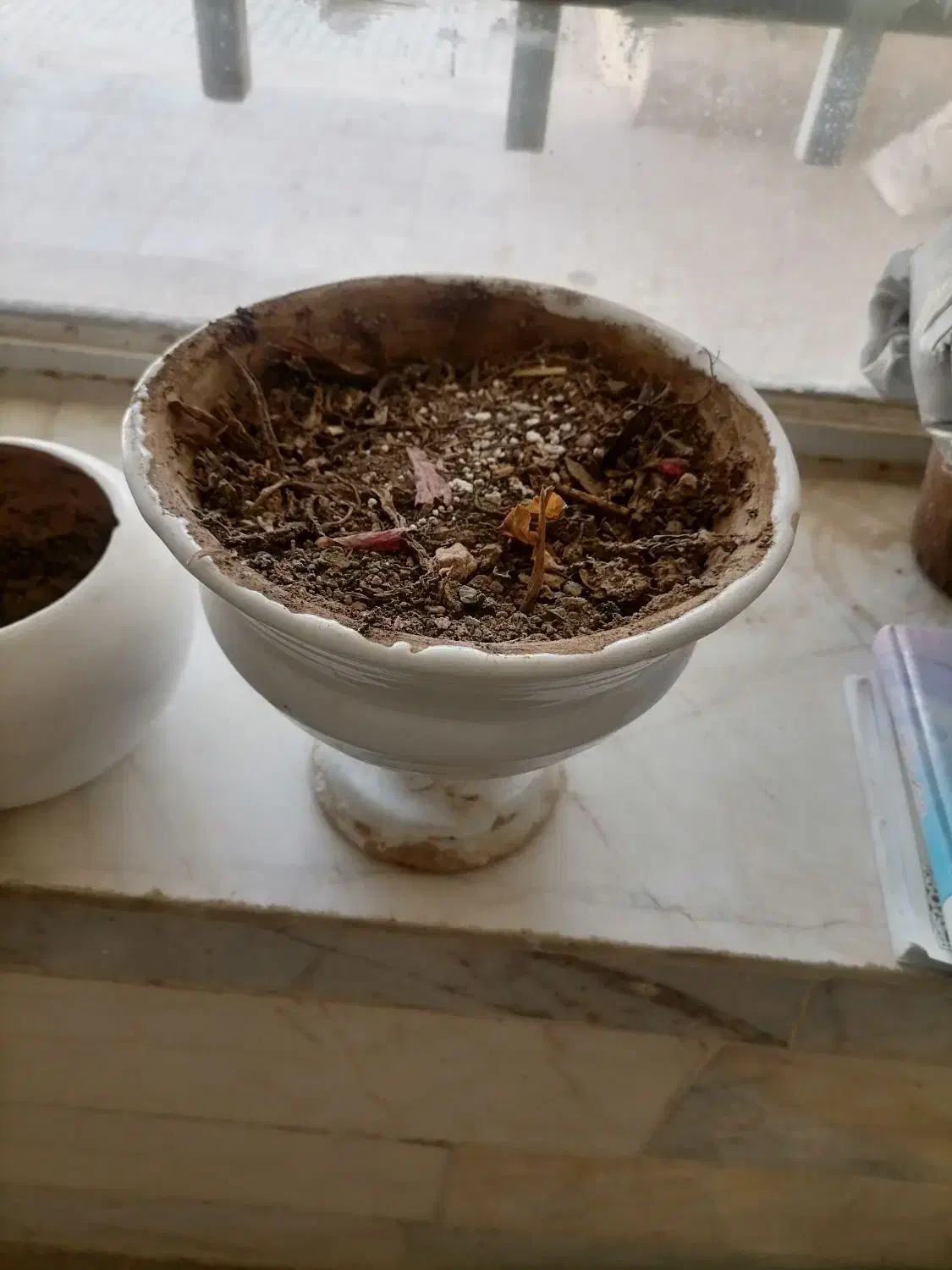 گلدان|صنایع دستی و سایر لوازم تزئینی|تربتحیدریه, حسنی بالا|دیوار