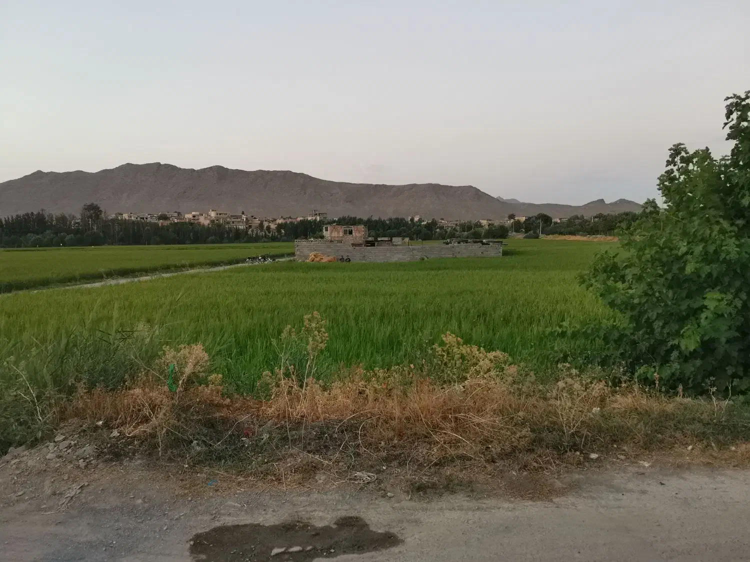 زمین چهاردیواری ویلایی روبه رودخانه وصحرا|فروش زمین و ملک کلنگی|مبارکه, |دیوار