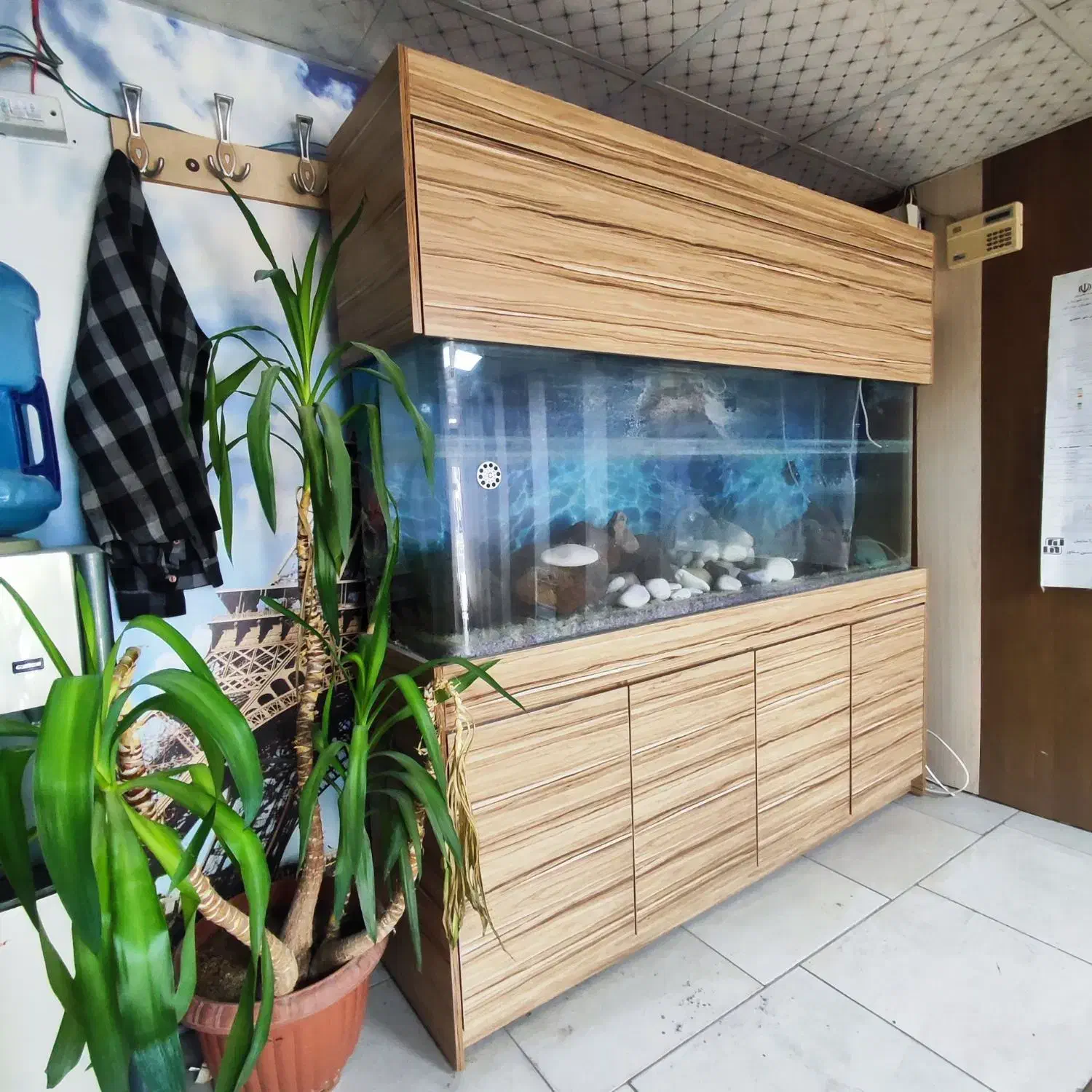 اکواریوم شیشه خم|ماهی|کرج, شهرک جهان آرا|دیوار