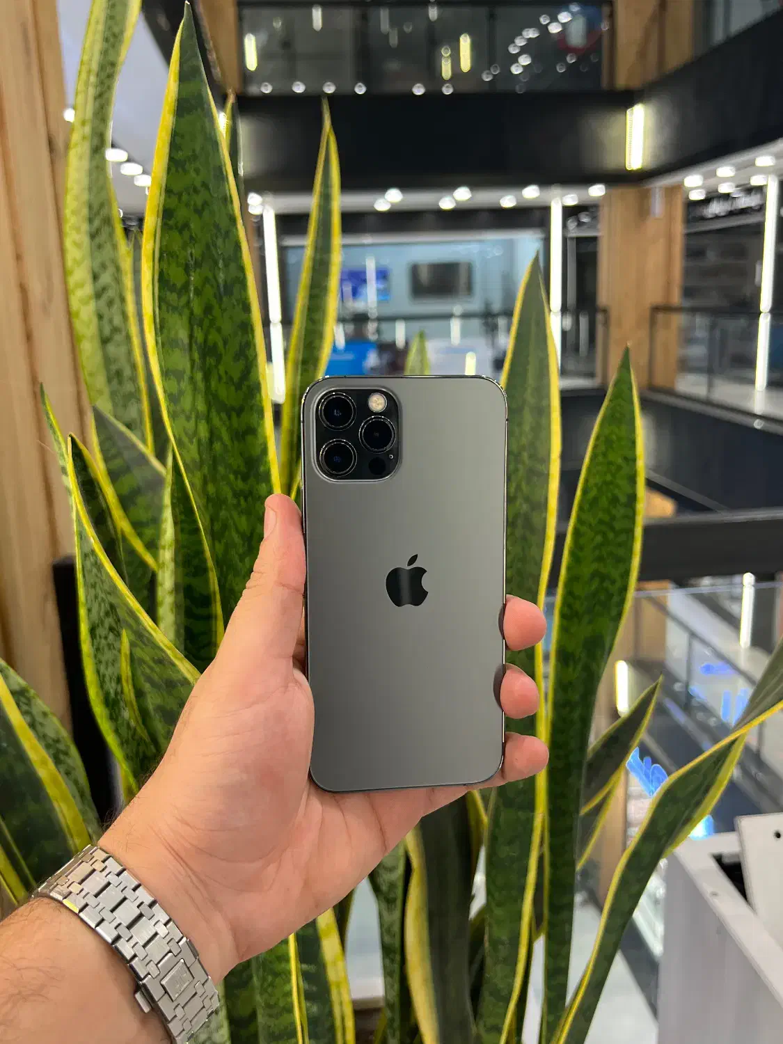 آیفون ۱۲پرو|موبایل|رشت, چله خانه|دیوار