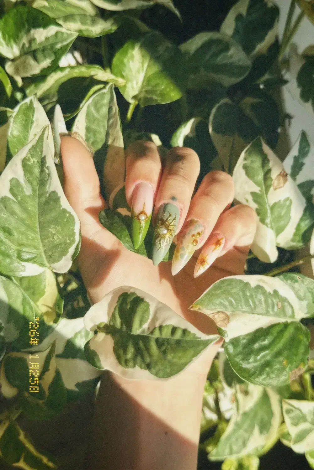 مدل ناخن|خدمات آرایشگری و زیبایی|رشت, نامجو|دیوار