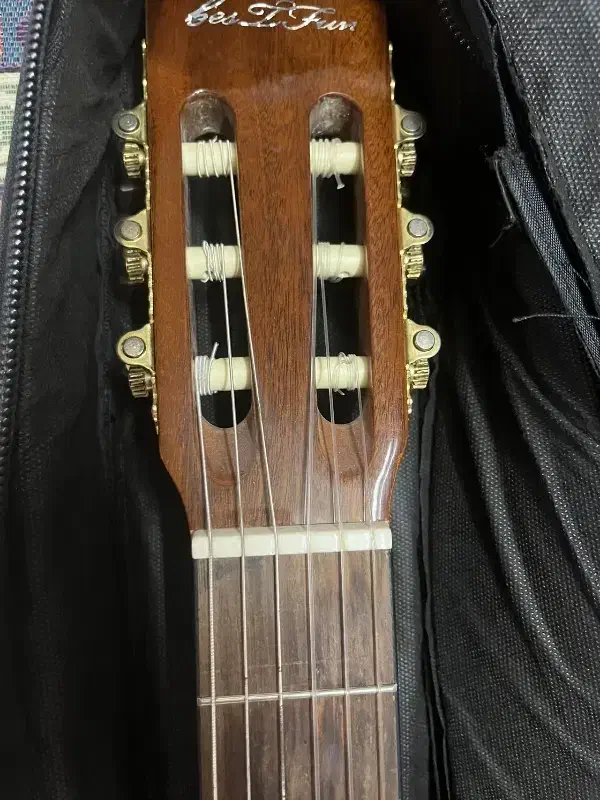 گیتار|گیتار، بیس، امپلیفایر|اصفهان, جاوان|دیوار