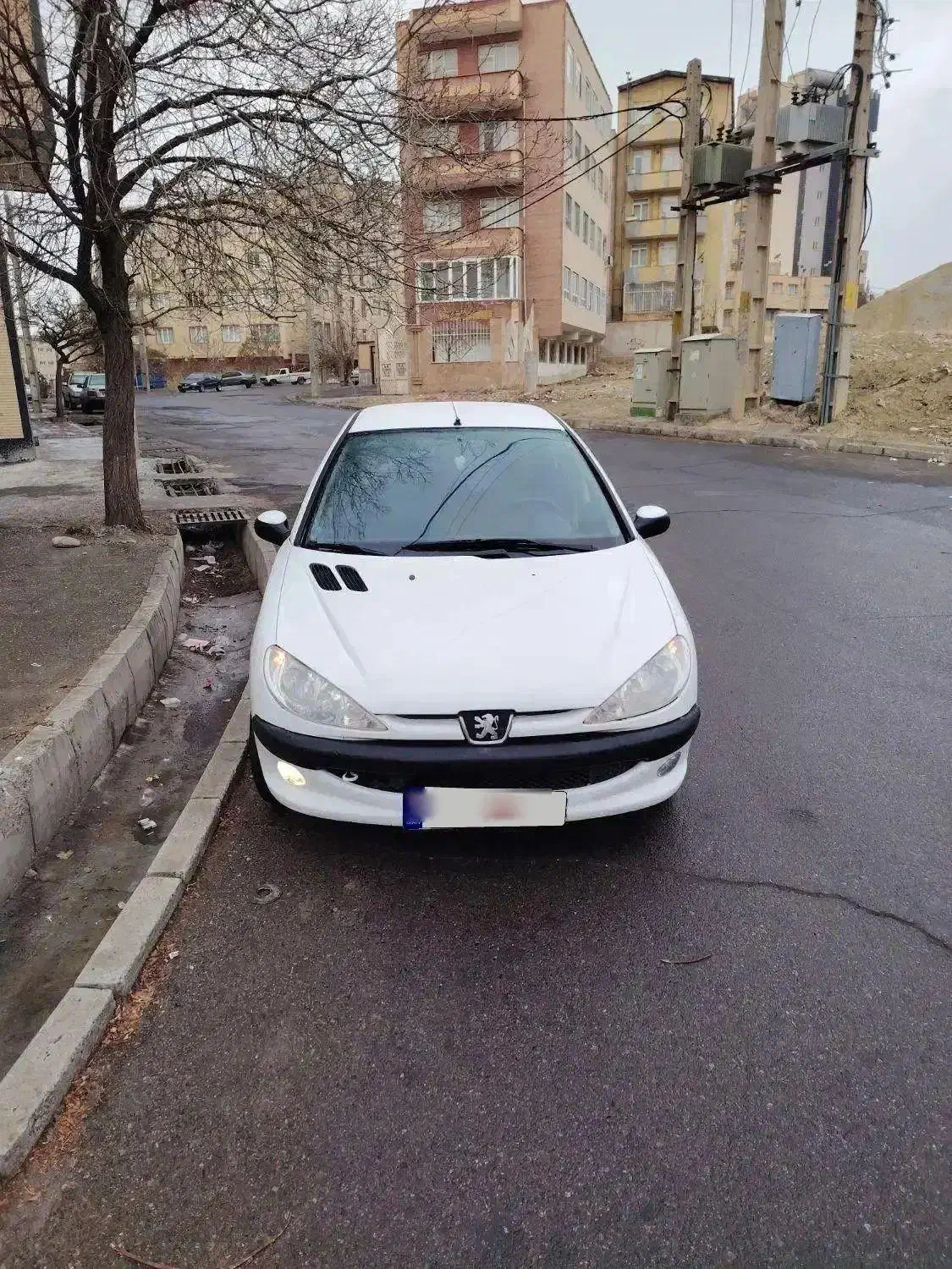 206 sd v8مدل 1395|خودرو سواری و وانت|تبریز, |دیوار