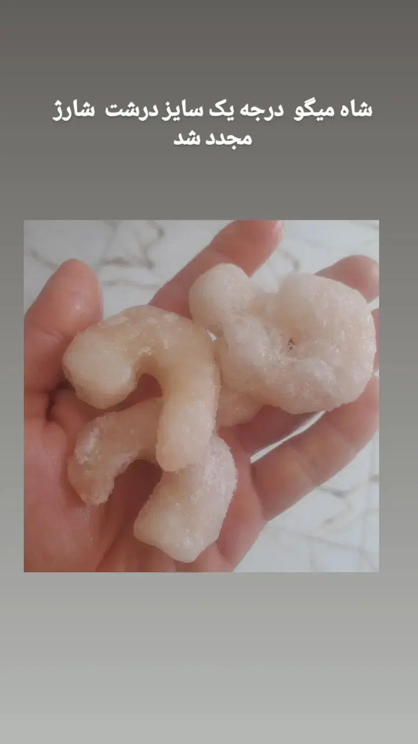 ماهی قزل آلا تازه 365000 حراج شد|خوردنی و آشامیدنی|دهلران, |دیوار